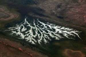 Aerial River Patterns in Central Australia 